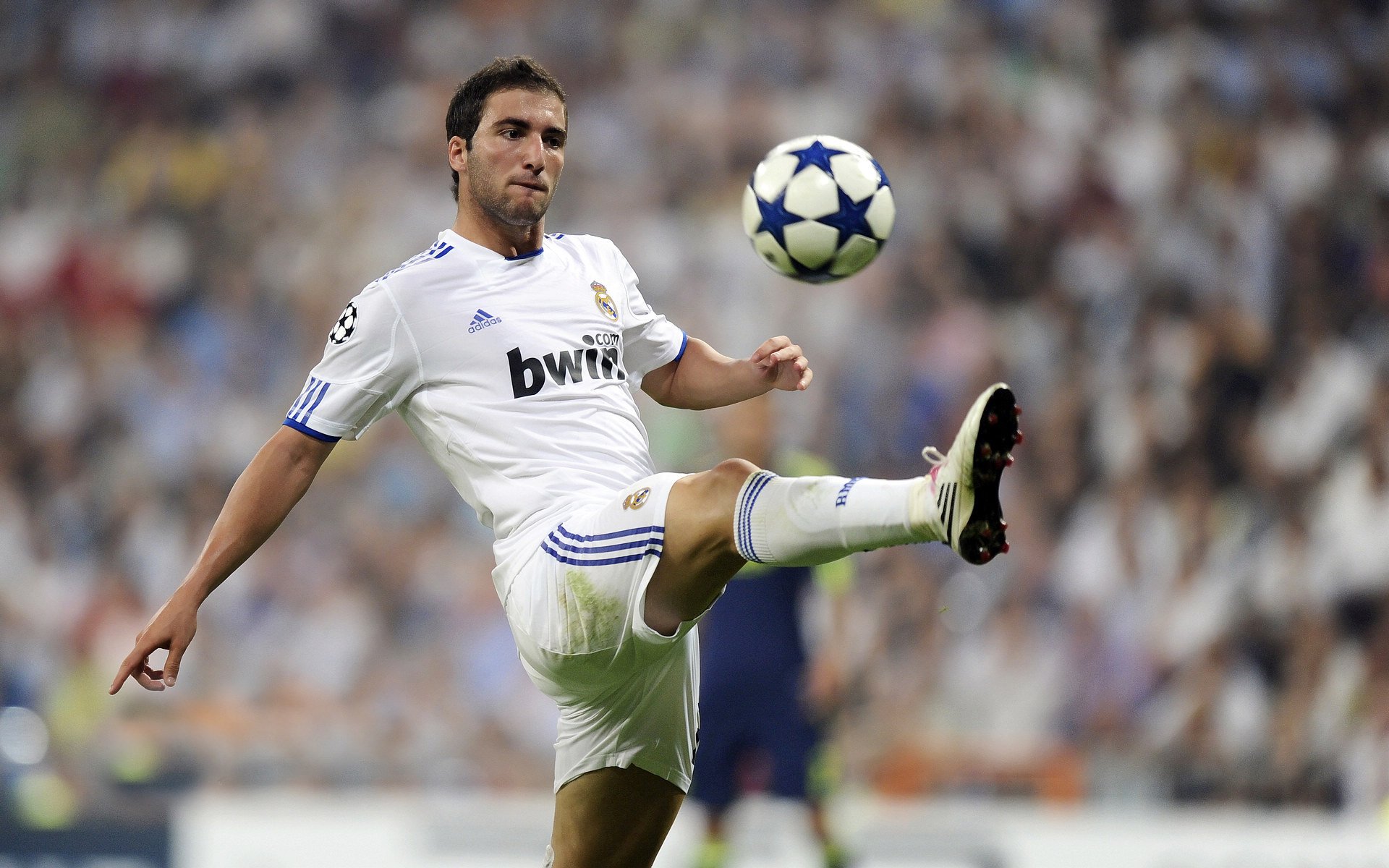 球场外的故事：运动员的生活点滴和成长经历，描写球场上运动员风采